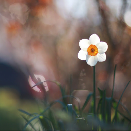 Hd-162469-ascw162469