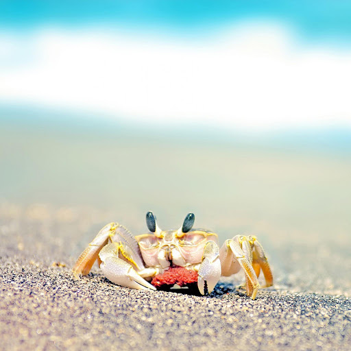 Hd-173979-ascw173979