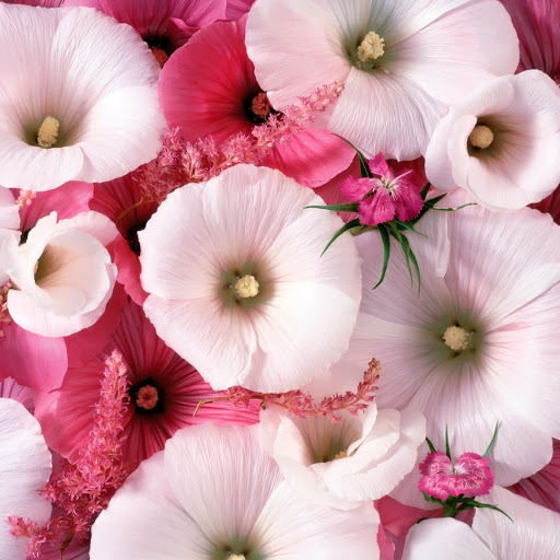 Hd-149235-ascw149235