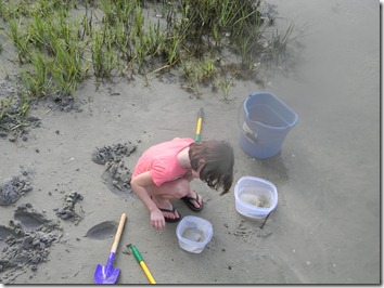 Lawson digging for crabs