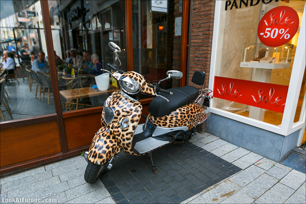 LookAtEurope.com - Город с трудным названием Хертогенбос | Holland, Hertogenbosch