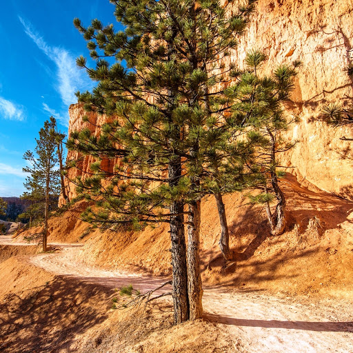 Hd-147407-ascw147407