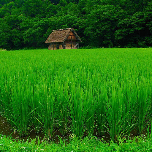 Hd-145694-ascw145694