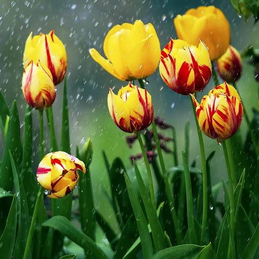 Hd-148424-ascw148424