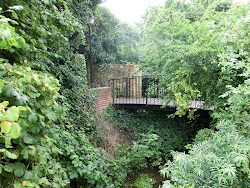 2013-09-10 MSC Magnifica - 117