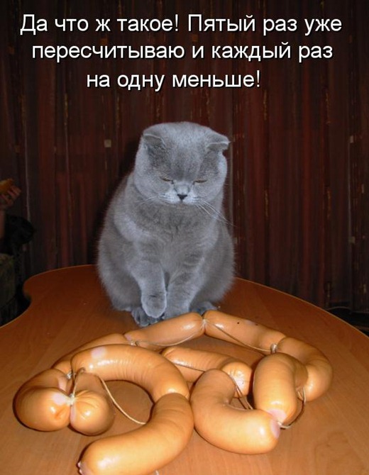 [kotomatritsa_NB%255B3%255D.jpg]