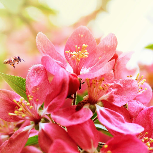 Hd-146137-ascw146137