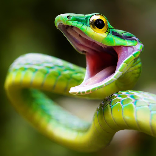 Hd-150414-ascw150414