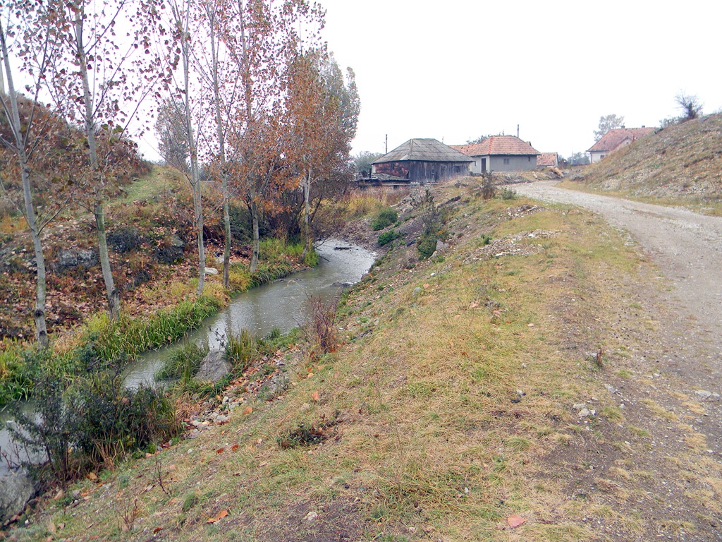 [DSCN43143.jpg]