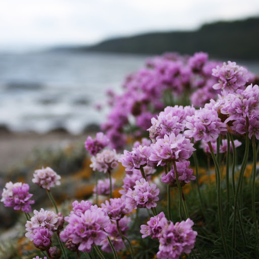 Hd-157838-ascw157838