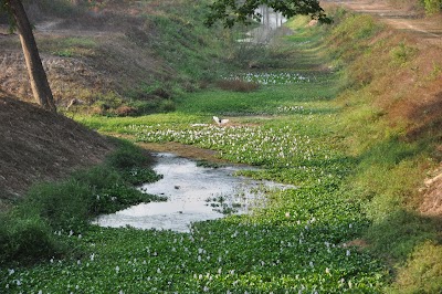 DSC_0540.JPG