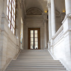 IMG_3750.jpg