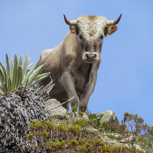 Hd-155930-ascw155930