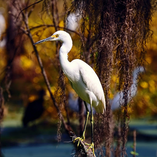 Hd-178925-ascw178925