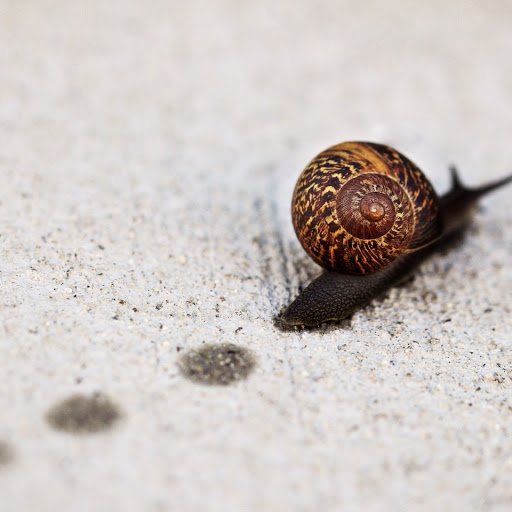 Hd-143777-ascw143777