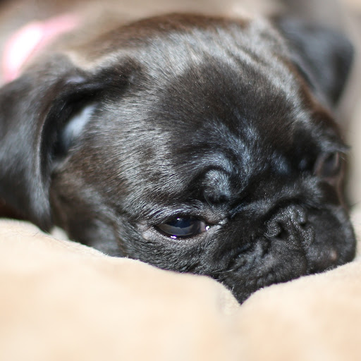 Hd-173345-ascw173345