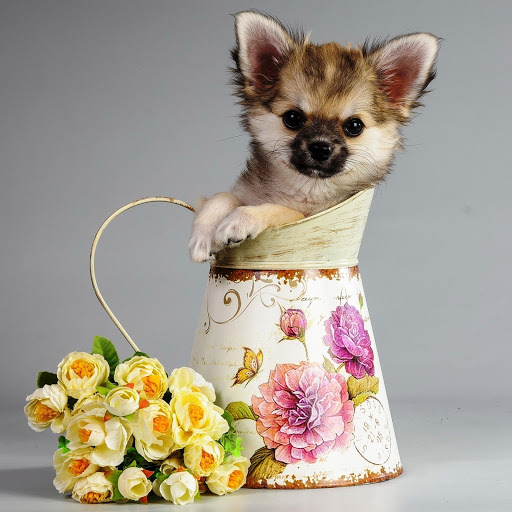 Hd-151963-ascw151963