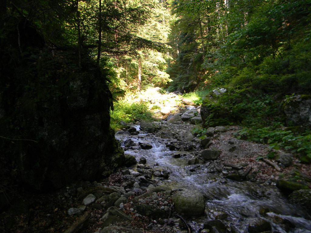 [DSCN31993.jpg]