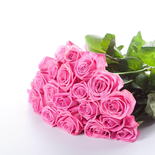 Hd-172317-ascw172317