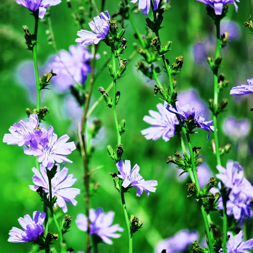 Hd-152462-ascw152462