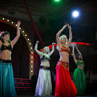 IMG_7978.jpg