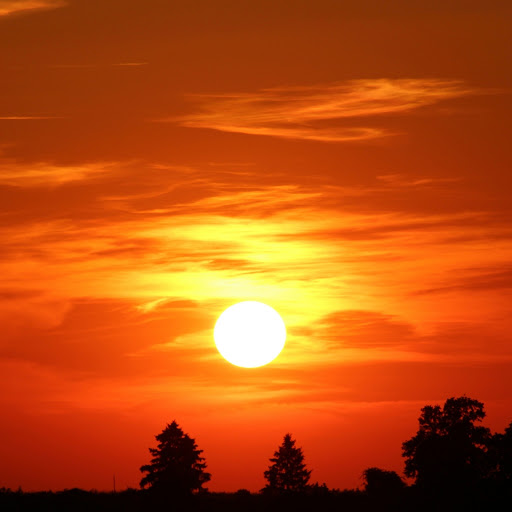 Hd-184269-ascw184269