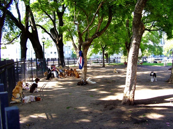 Plaza San Martín - Área para cães