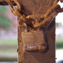 Pentax_K-50_Sample12.JPG