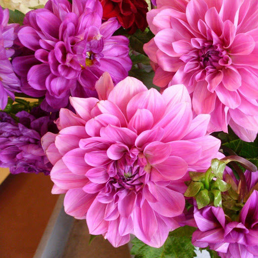 Hd-161920-ascw161920