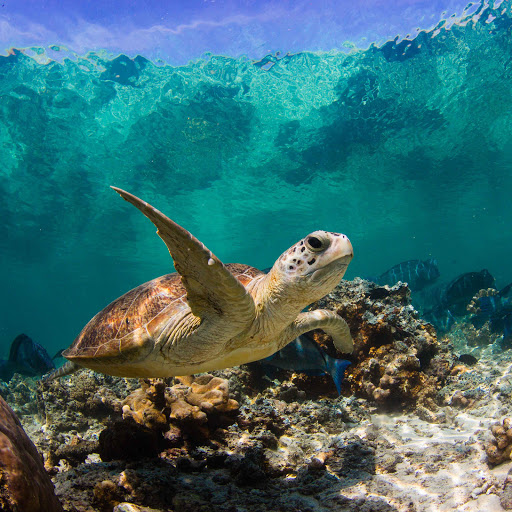 Hd-153206-ascw153206