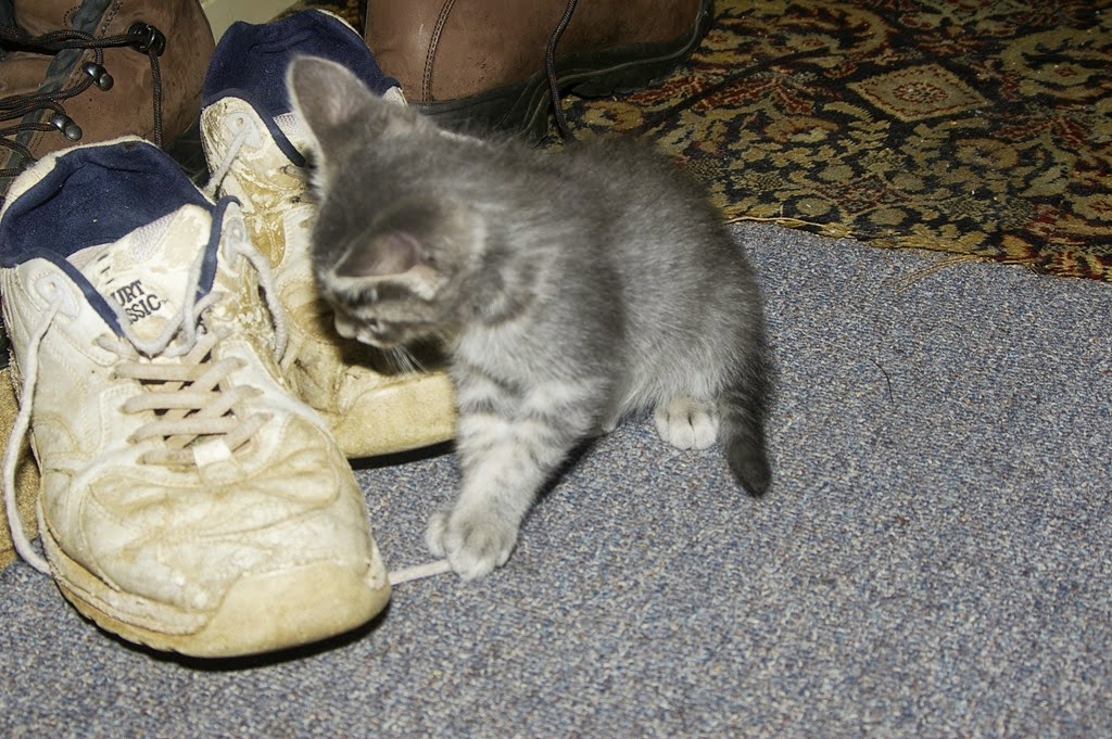 [Pentax%2520052%255B4%255D.jpg]