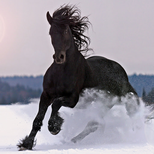 Hd-159586-ascw159586