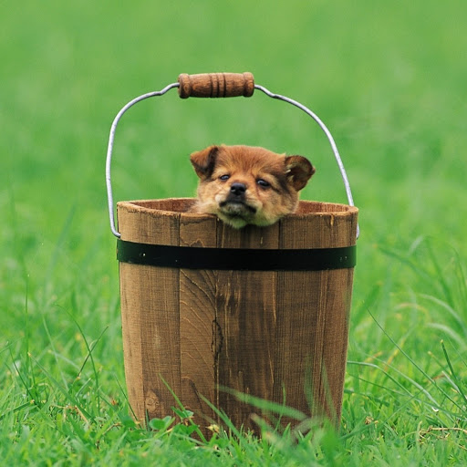 Hd-146421-ascw146421