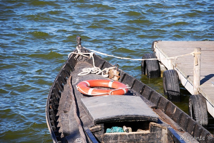 barca en la albufera - valencia