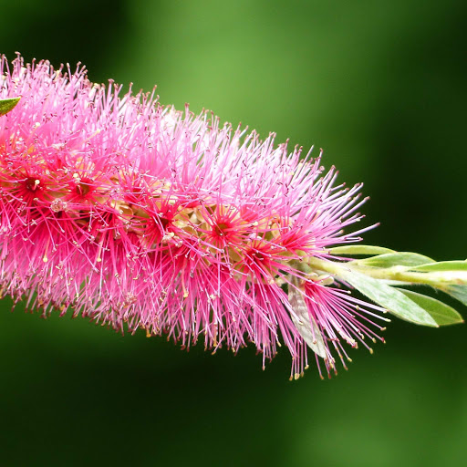 Hd-152564-ascw152564