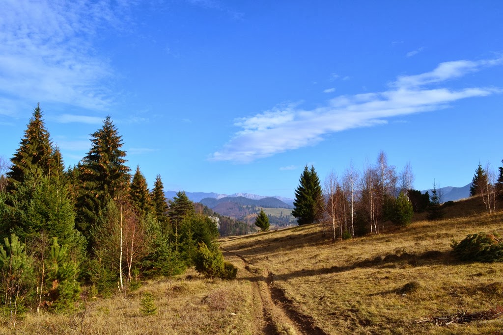 [DSC_00973.jpg]