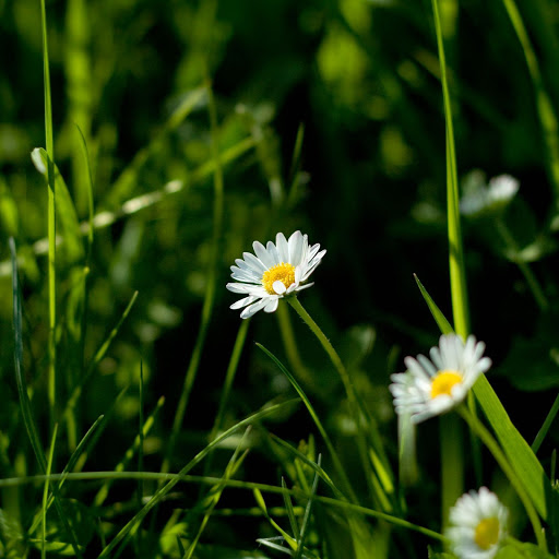 Hd-156577-ascw156577