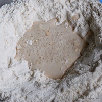 add yeast mix DSC_5023