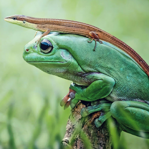 Hd-180454-ascw180454