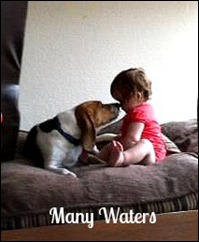 Many Waters Puppy Kisses