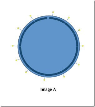 beret-image-a beret-image-a