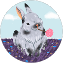 Image Google de caro line