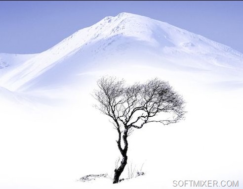 [clip_image006%255B7%255D.jpg]