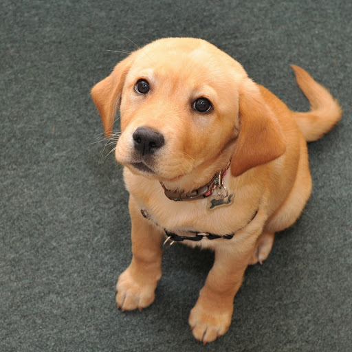 Hd-180696-ascw180696