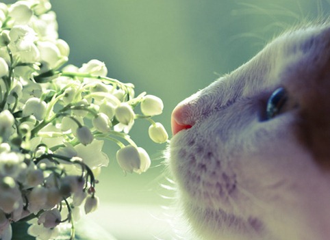 [a4380bd4157ceedb6b8fe8cfaec%255B5%255D.jpg]