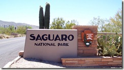 Saguaro National Monumanet
