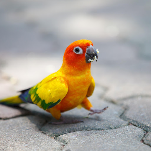 Hd-160438-ascw160438