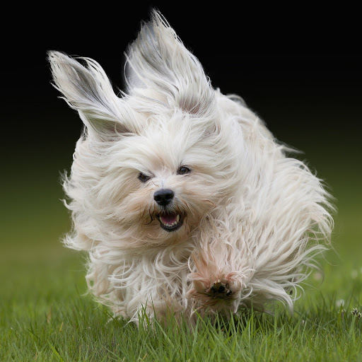 Hd-173821-ascw173821