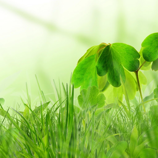 Hd-167898-ascw167898