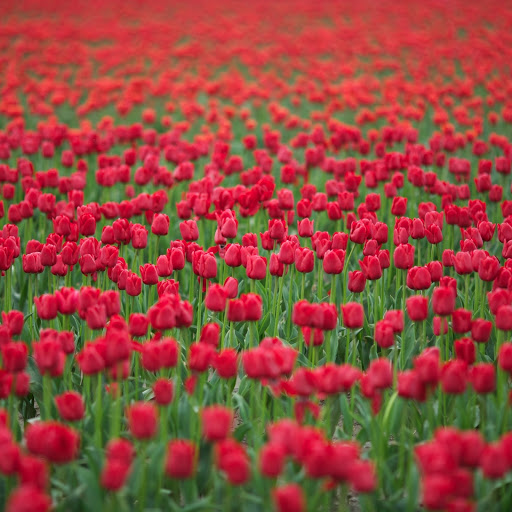 Hd-161253-ascw161253